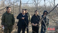 新疆兵团“新农人”：从“田管家”到“云主播”