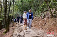 浙江杭州：市民游客上春山赏春色